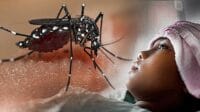 Ilustrasi penyakit DBD yang menelan korban, Sumber: Merdeka.com
