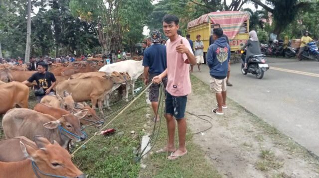 Lokasi Pasar Hewan yang menjadi alternatif Pemerintah Daerah, foto/Ist