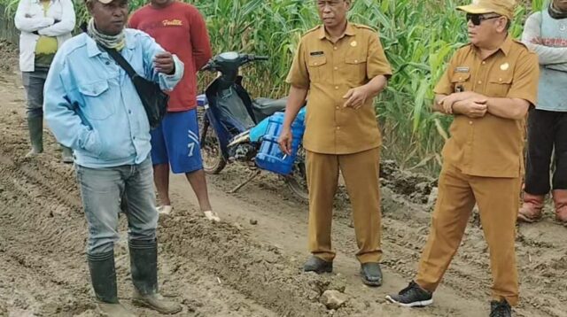 Pemerintah setempat melakukan peninjauan lokasi jalan desa di Kecamatan Tolangohula, foto/Ist