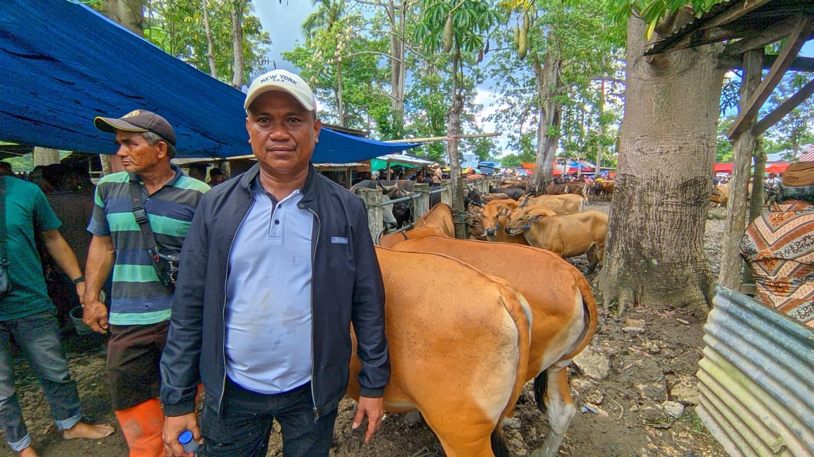 Pengelola pasar hewan di Pulubala, Kecamatan Pulubala, Kabupaten Gorontalo, Umar Mootalu, foto/aiimnews.com